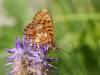 113550 – Photo : S. Regnard – Italie