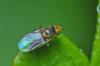 113042 – Photo : Christophe Quintin – France (21)