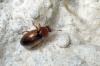 113014 – Photo : Christophe Quintin – France (21)