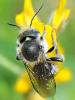113045 – Photo : Prisca – France (05)