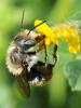 113048 – Photo : Prisca – France (05)