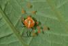 113603 – Photo : D. Martinez – Philippines
