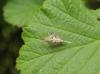 113069 – Photo : Maria Justamond – France (56)