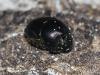 114014 – Photo : Duborget Robin – France (20)