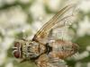 114665 – Photo : Daniel Verdier – France (15)