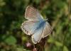 114645 – Photo : Michel Mathieu – France (14)