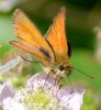 114669 – Photo : Christian Widmann – France (73)