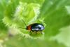114463 – Photo : Nicolas Alric – France (12)