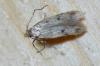 114085 – Photo : Christophe Quintin – France (21)