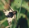114789 – Photo : Maria Justamond – France (83)
