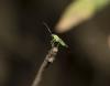 114016 – Photo : Duborget Robin – France (20)