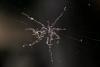 115309 – Photo : D. Martinez – Philippines