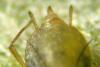 115935 – Photo : Christophe Quintin – France (21)