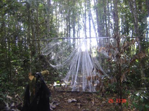 Interception drap-crylde