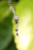 116478 – Photo : Nicolas Alric – France (12)