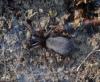 116045 – Photo : Andgelo Mombert – France (39)