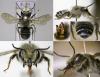 116363 – Photo : Arthropa - Benoit Martha – France (21)