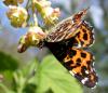 117828 – Photo : Vincent VALLI – France (10)
