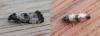 117588 – Photo : Dominique THAUVIN – France (45)
