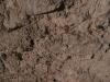 117509 – Photo : Nicolas Gautier – Croatie