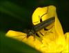 117785 – Photo : Andgelo Mombert – France (25)