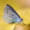 117431 – Photo : Thomas Roppenecker – Belgique