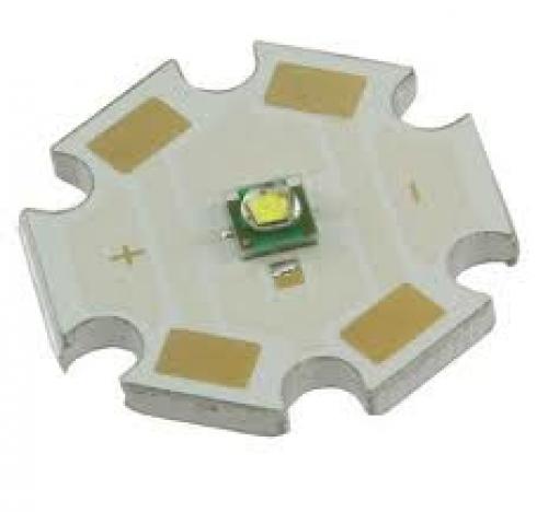 Led sp.