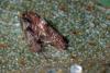 118093 – Photo : Christophe Quintin – France (21)