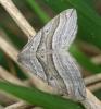 118410 – Photo : Axel Dehalleux – France (54)