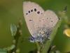 118104 – Photo : Christian Widmann – Chypre