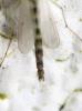118046 – Photo : Renko Usami – France (59)