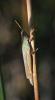 118269 – Photo : Duborget Robin – France (20)
