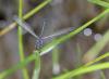 118910 – Photo : Duborget Robin – France (20)