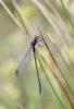 118912 – Photo : Duborget Robin – France (20)