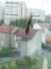 118626 – Photo : Bobabar – France (95)