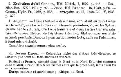 Réf. 119 119 : Hyphydrus aubei