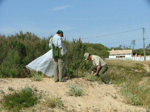 Oléron 2006