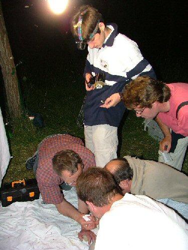 Oléron 2006