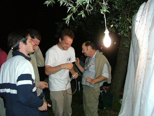 Oléron 2006