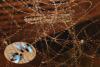 12063 – Photo : Michel Guttin – France (69)