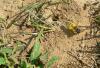 12058 – Photo : lilie10 – France (02)