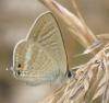 12033 – Photo : Amy – France (81)