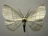 12708 – Photo : Eric Lamy – France (29)