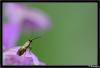 12067 – Photo : delphine bourdais – Belgique