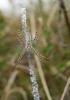 12581 – Photo : Chavernoz Marina – France (56)