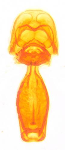 Réf. 120 247 : Scydmaenus perrisi