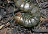 120349 – Photo : Duborget Robin – France (20)