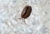 120667 – Photo : Nicolas Alric – France (12)