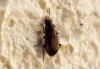 120929 – Photo : Nicolas Alric – France (12)