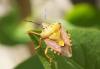120669 – Photo : Nicolas Alric – France (12)